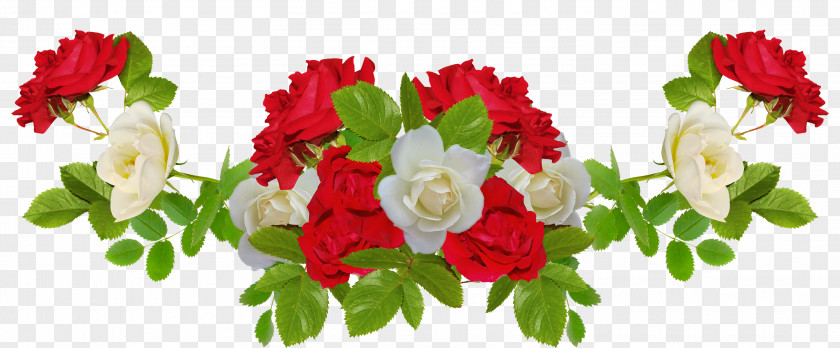 Red Rose And White Flower PNG