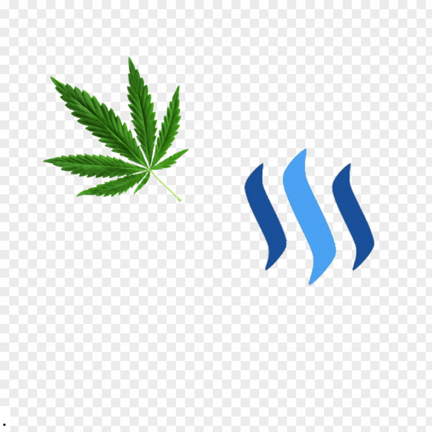 Weed Steemit Cryptocurrency Blockchain Bitcoin Money PNG