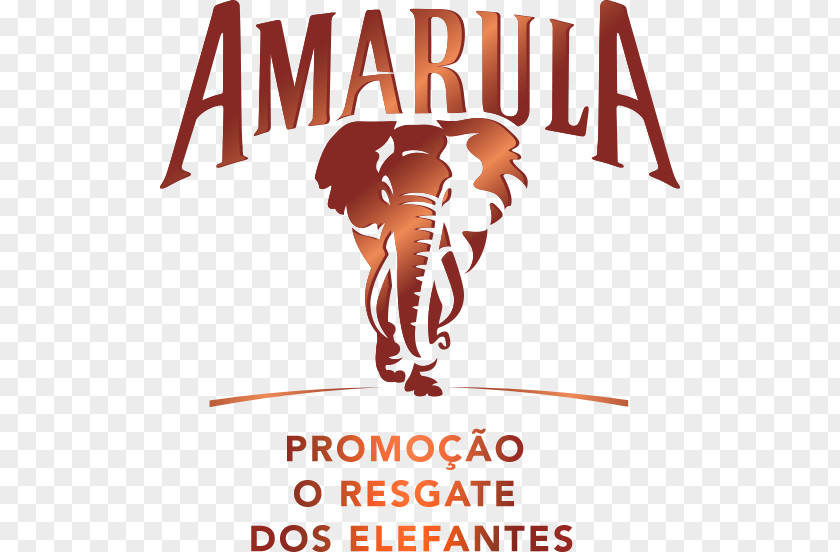 Cocktail Amarula Liquor Liqueur PNG