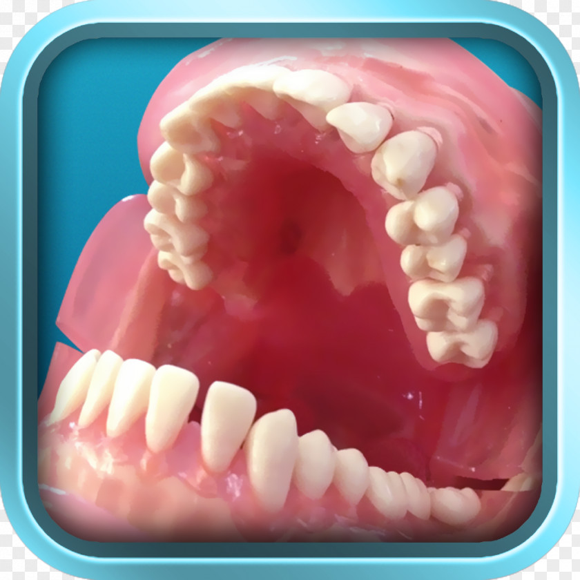Creative Plans For Dental Treatment Tooth PNG