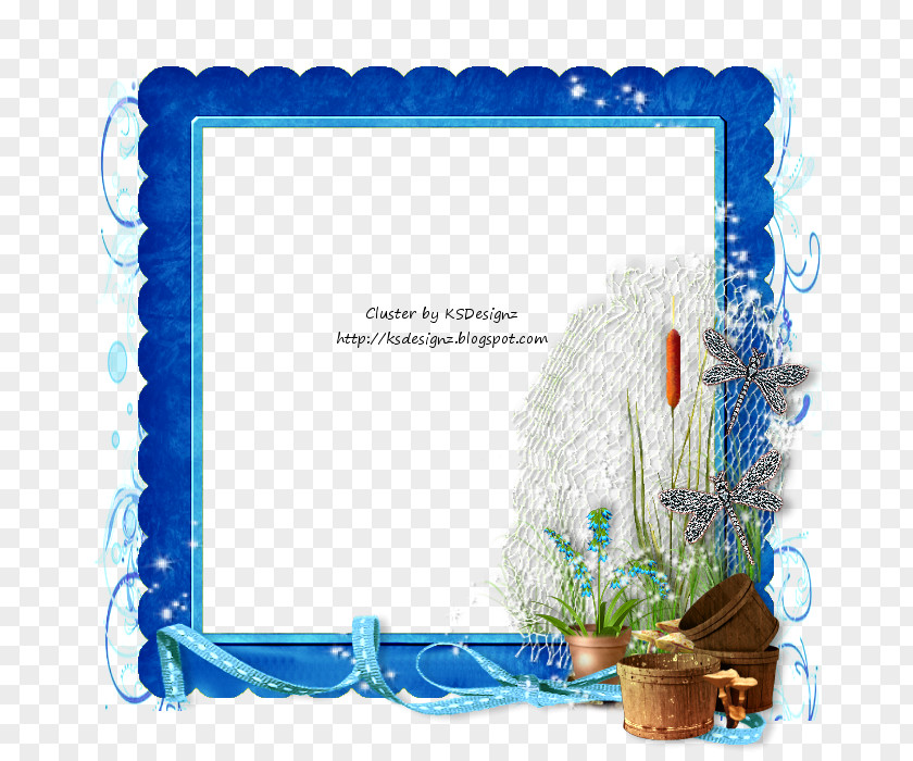 Dragon Fly Picture Frames Organism Flower Microsoft Azure Font PNG