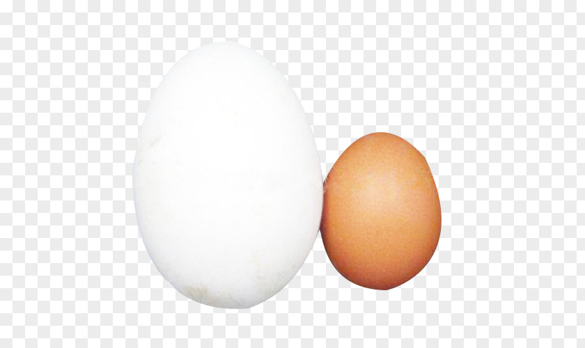 Eggs Sticky Goose Picture Material Domestic Egg White Chicken PNG