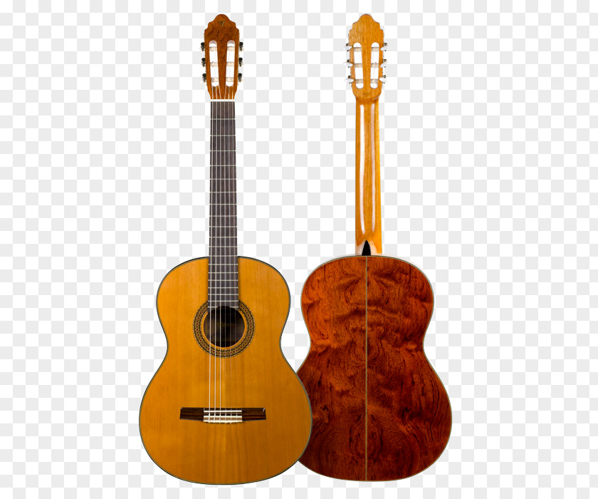 Guitar Classical Acoustic Acoustic-electric Flamenco PNG