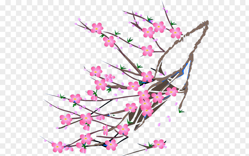 Plum Flower Cherry Blossom Text Illustration PNG