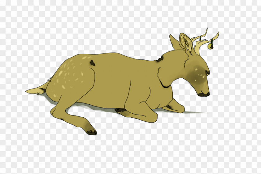 Reindeer Elk Cattle Kangaroo Antler PNG