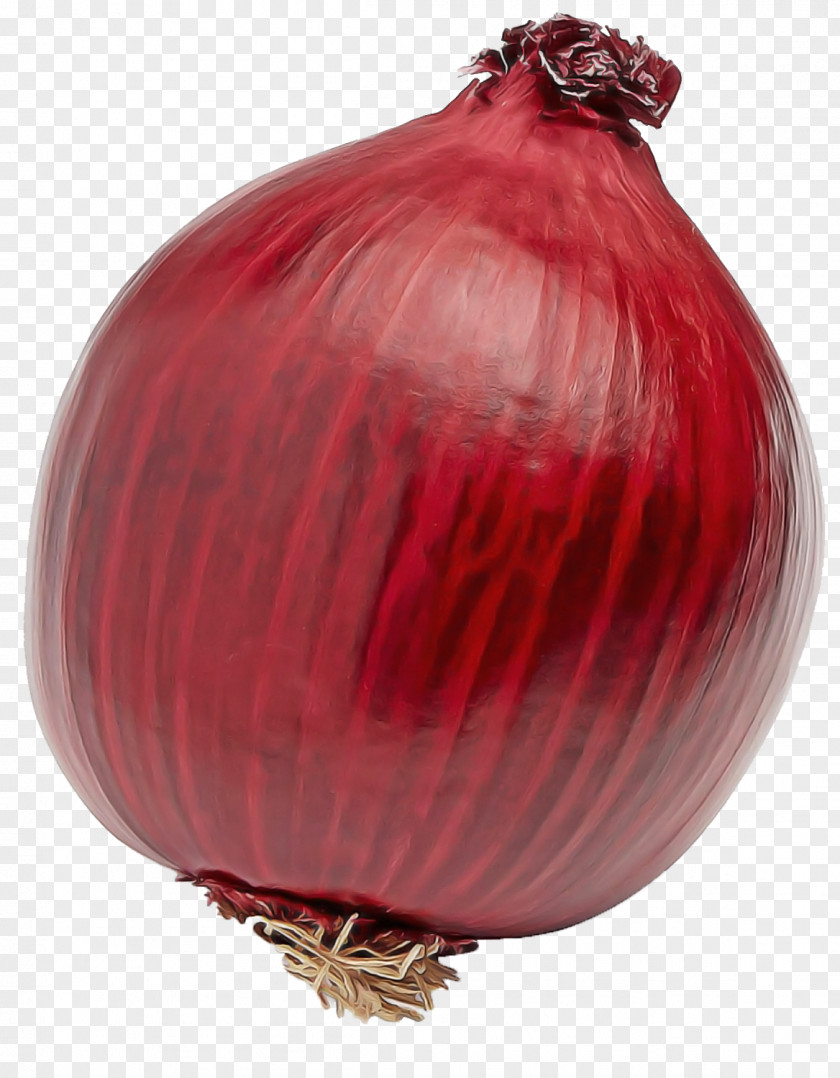 Amaryllis Family Food Red Onion Yellow Vegetable PNG