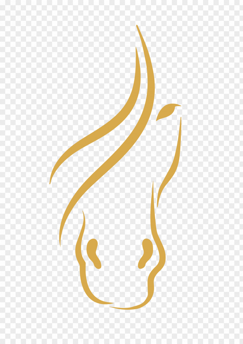 Jahfarr Wilnis Lipizzan Arabian Horse Drawing Clip Art PNG