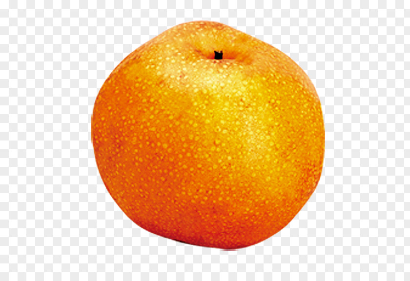 Orange Clementine Mandarin Fruit PNG