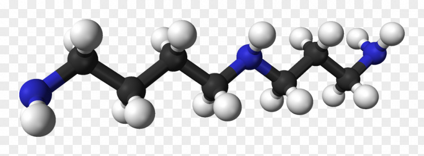 Physical Property Spermidine Small Molecule Polyamine Chemistry PNG