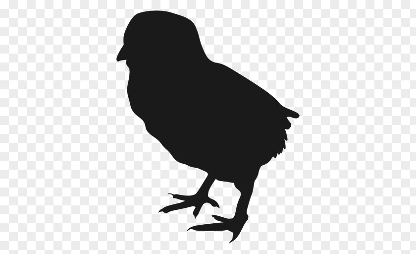 Rooster Chicken Meat Silhouette Bird PNG