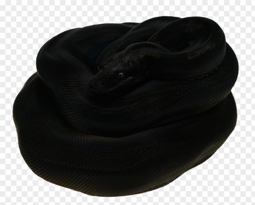 Snake Head Headgear PNG