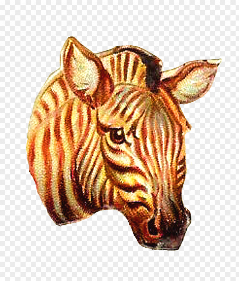 Tiger Quagga Zebra PNG