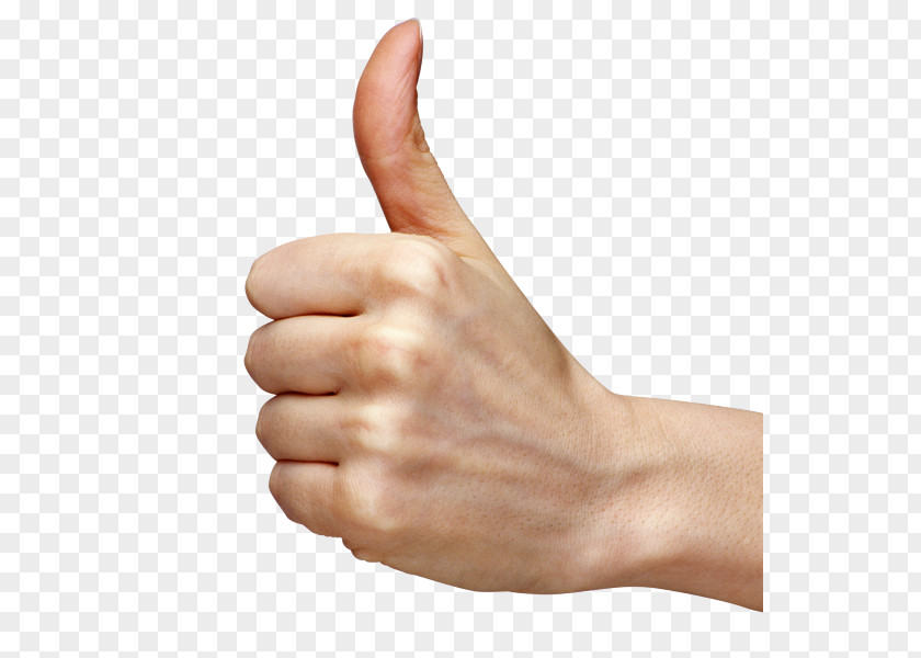 Thumbs Signal Wrist Finger Hand Thumb Gesture Arm PNG