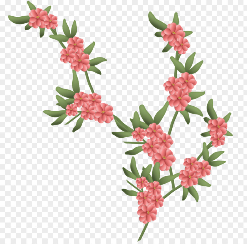 Flower Cut Flowers Blume PNG