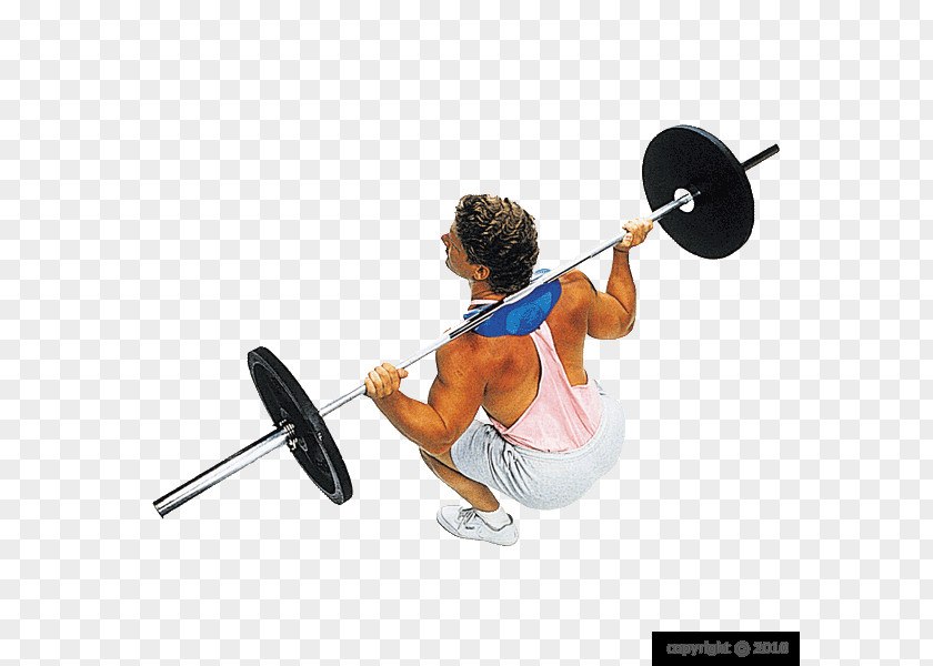 Gym Squats Squat Barbell Shoulder Trapezius Exercise PNG