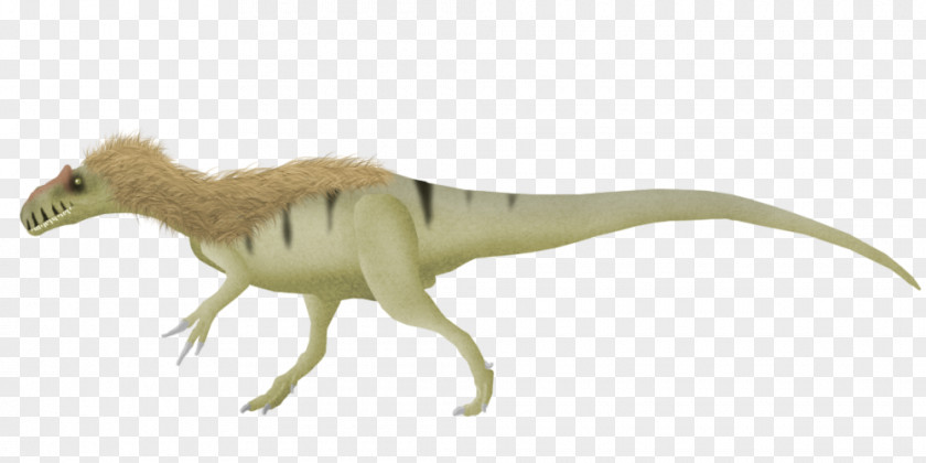 Allosaurus Lucasi Velociraptor Tyrannosaurus Torvosaurus Brachiosaurus PNG