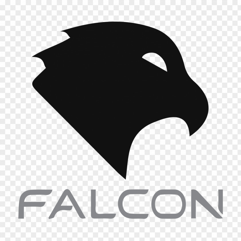 Falcon Quaternion Matrix Multiplication Beak Local Coordinates PNG