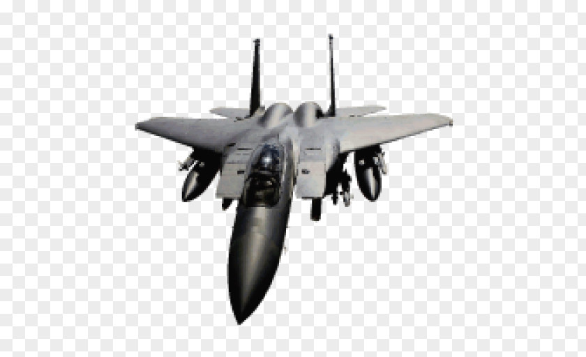 Fly Attack McDonnell Douglas F-15 Eagle F-15E Strike Grumman F-14 Tomcat Düsenjäger PNG