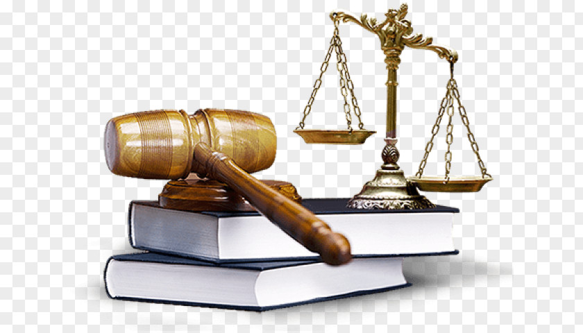 Lawyer Jurist Law Firm Legal Advice PNG