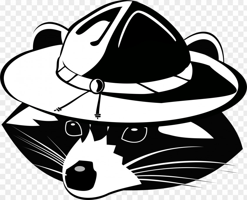 Raccoon Whiskers Clip Art Cat Illustration PNG