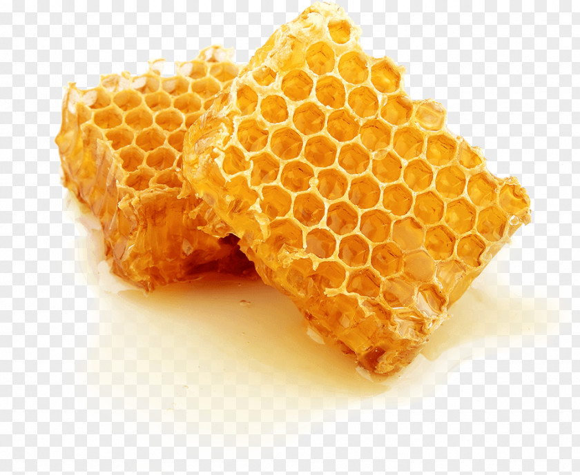Bee Beehive Honeycomb Honey PNG