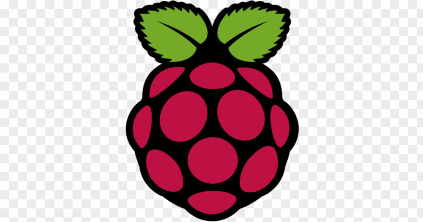 Computer Virtual Network Computing Raspberry Pi RealVNC TightVNC Software PNG