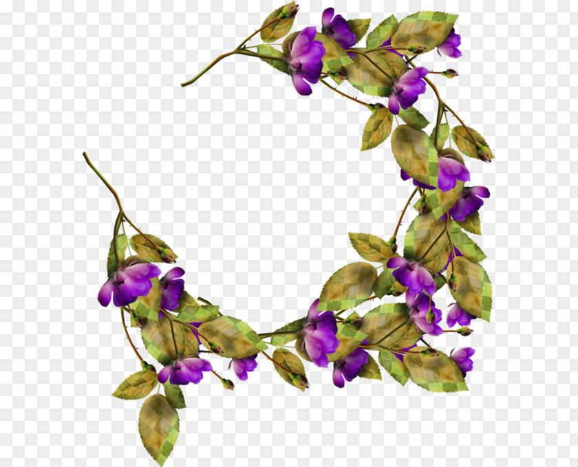 Violet Family Hair Clothing Accessories PNG
