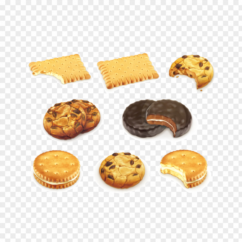 Cookies Vector Material Chocolate Chip Cookie Royalty-free Biscuit PNG