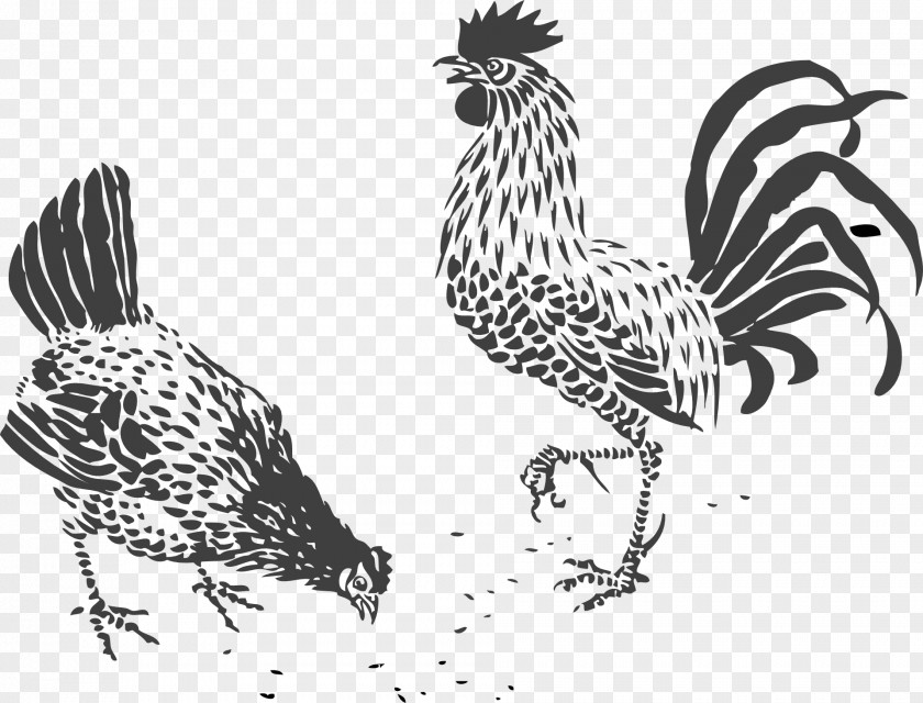 Chick Chicken Drawing Line Art Rooster Clip PNG