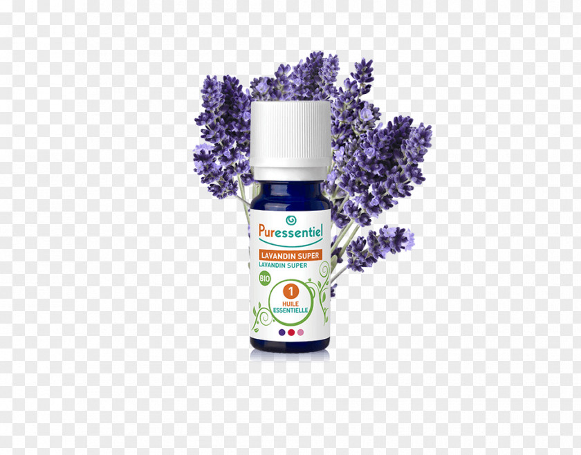 Oil English Lavender Essential Joint Orange PNG