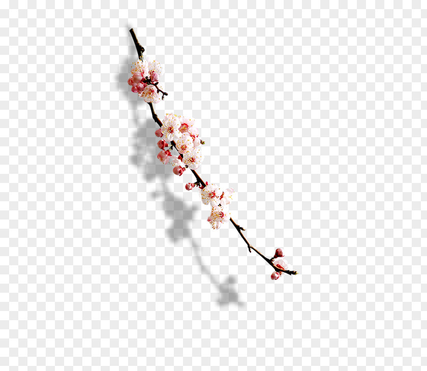 Plum Flower Blossom Paper PNG