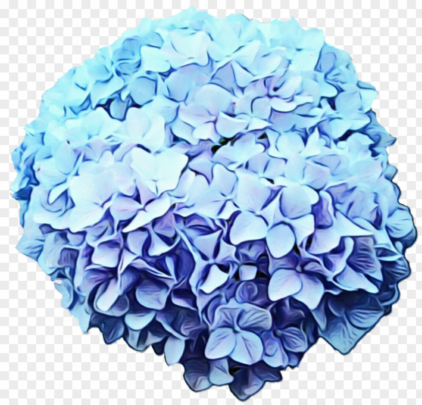 Pompom Cornales Blue Watercolor Flowers PNG