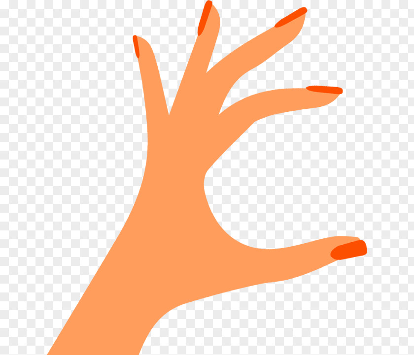Salmonella Bacteria Growth Logo Thumb Hand Model Product Clip Art PNG