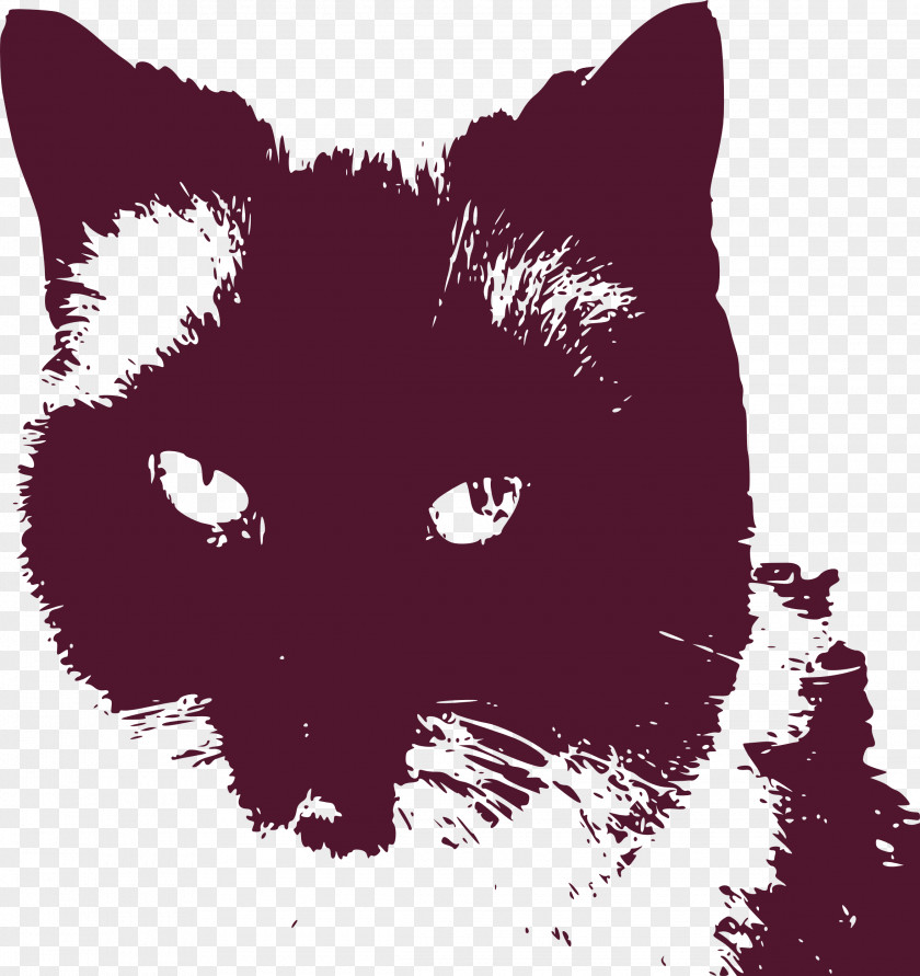 Black Cat Kitten Persian Whiskers PNG