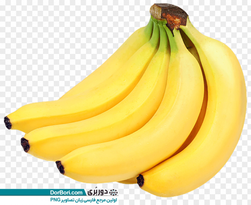 Bunch Banana Bread Lady Finger Peel PNG