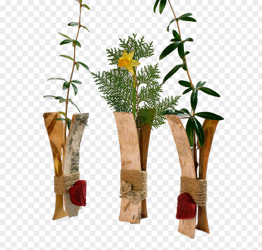 Design Floral Cut Flowers Flowerpot Plant Stem PNG