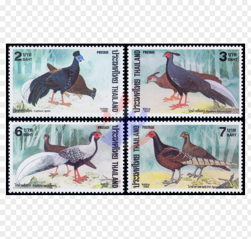 Dinosaur Kalij Pheasant Postage Stamps Silver PNG