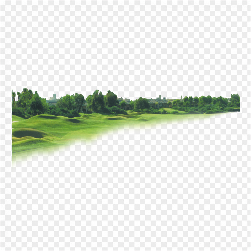 Green Grass Background PNG grass background clipart PNG