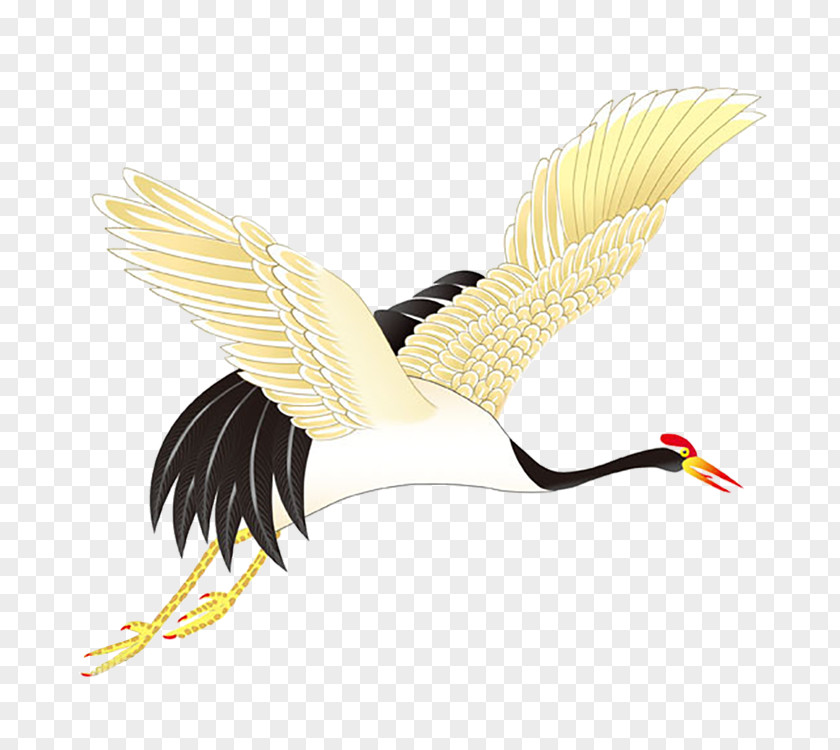 Infinity Transparent Background Red-crowned Crane Bird Clip Art Image PNG