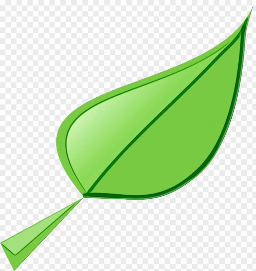 Logo Plant Green Leaf Watercolor PNG