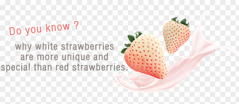 Strawberry Cosmetics Beauty Personal Care Alt Attribute PNG