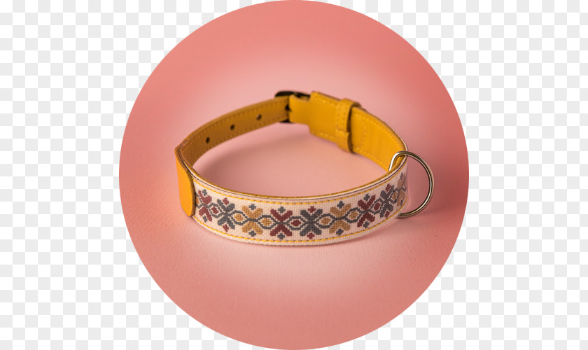 Belt Buckles Strap Wristband PNG