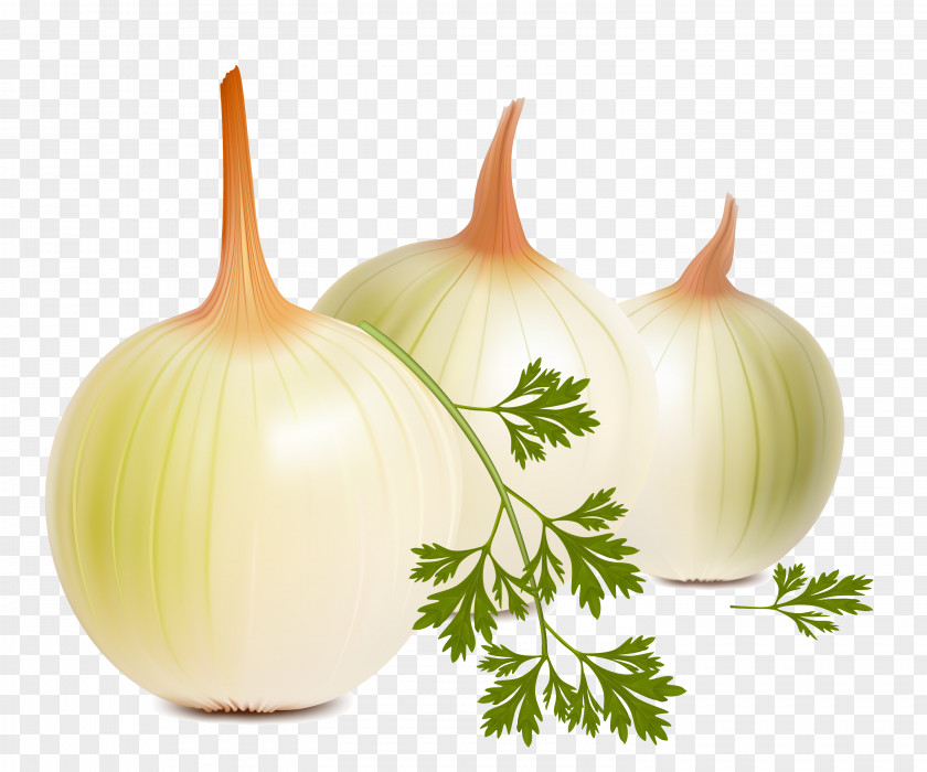 Cauliflower Onion Shashlik Vegetable Clip Art PNG