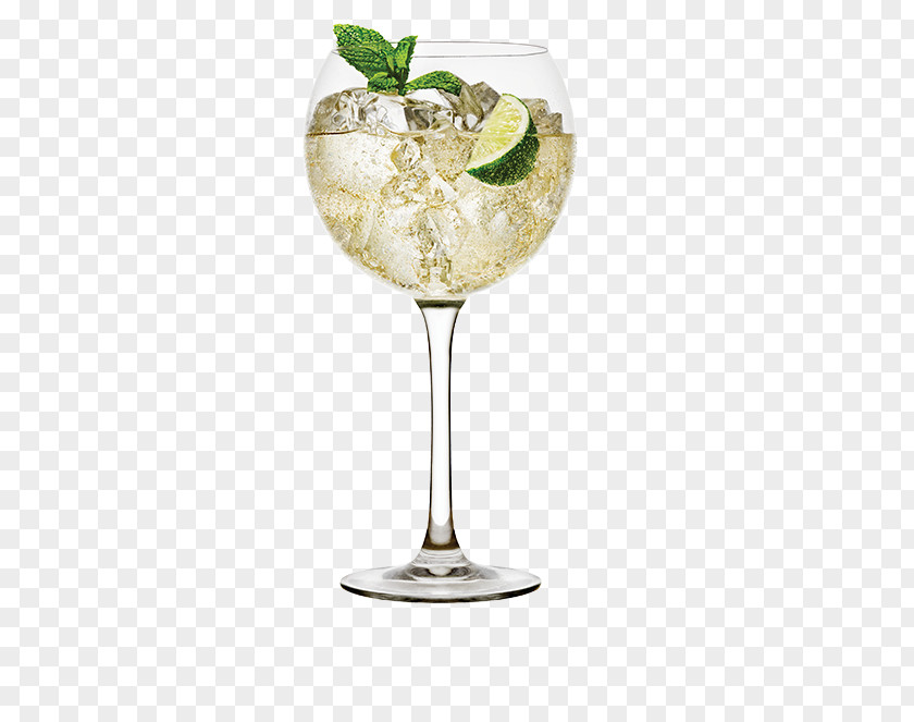 Cocktail Garnish Martini Wine Vermouth PNG