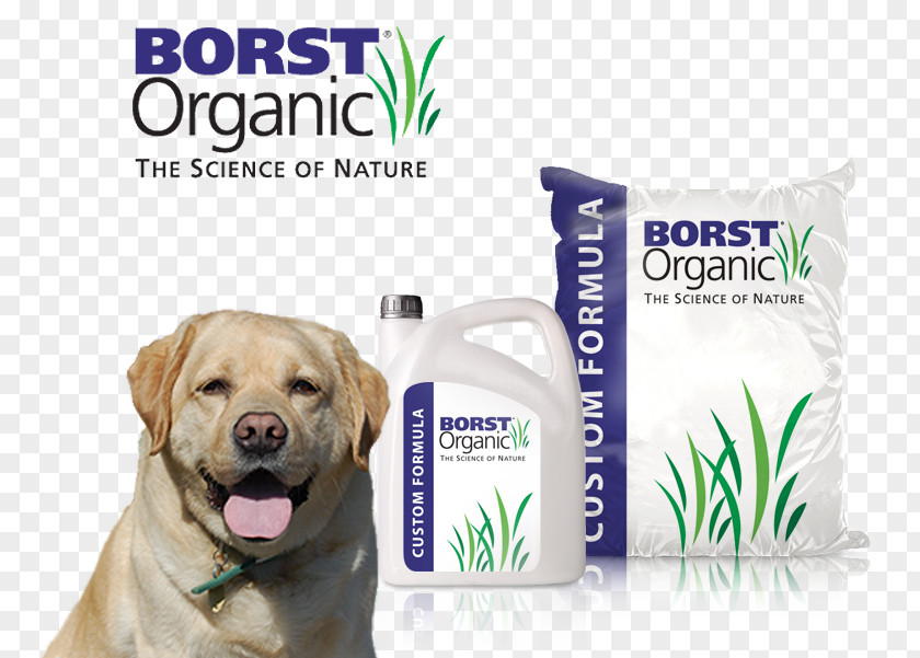 Dog Breed Puppy Brand Product PNG