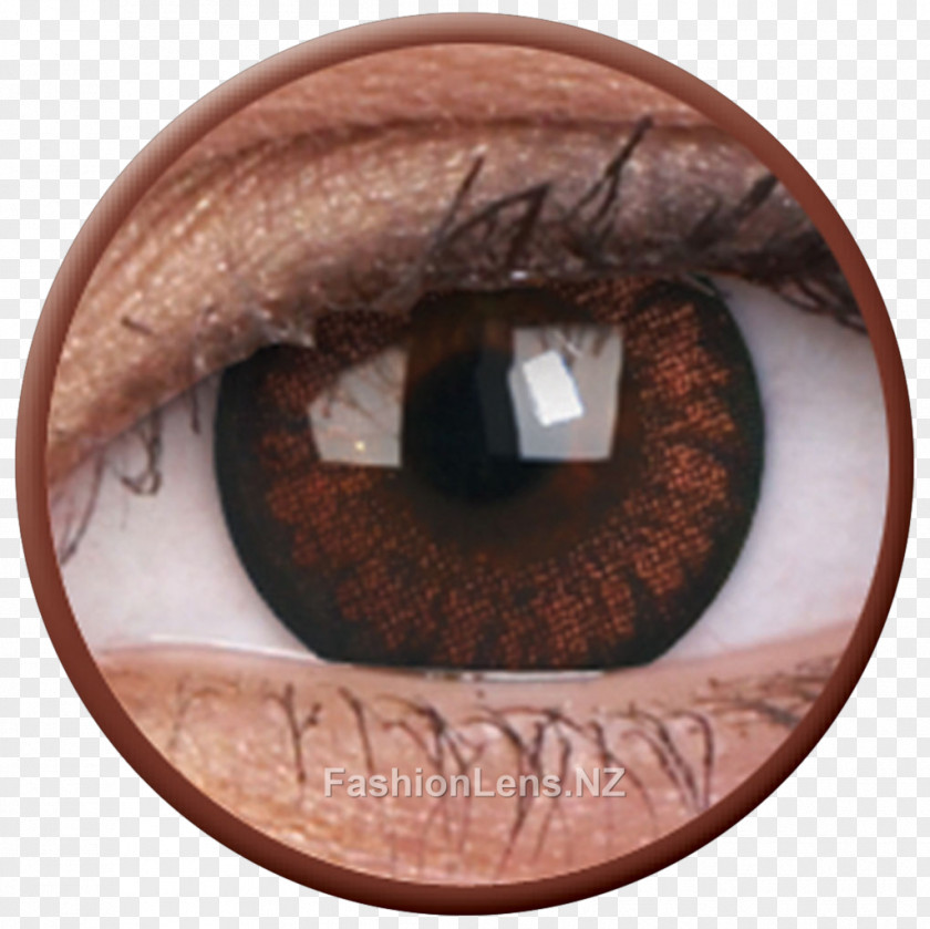 Eye Contact Lenses Circle Lens Color PNG