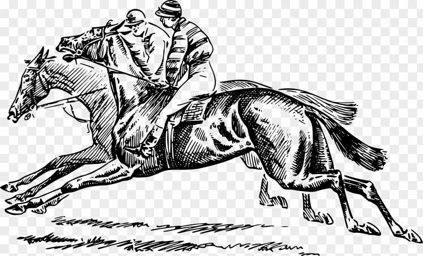 Horse Race Racing The Kentucky Derby Jockey PNG