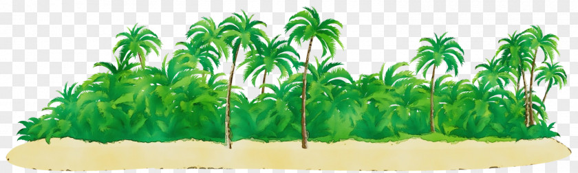 Plant Stem Grass Palm Tree Background PNG