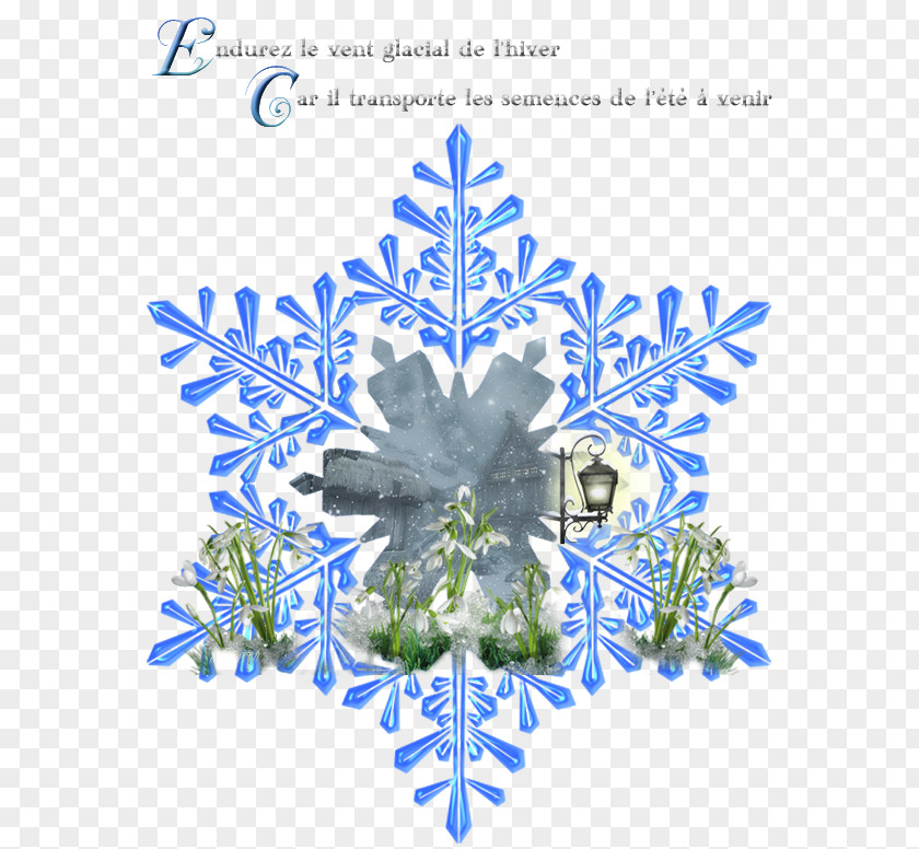 Snowflake Sony Xperia XZ1 Huawei XZ2 Compact PNG