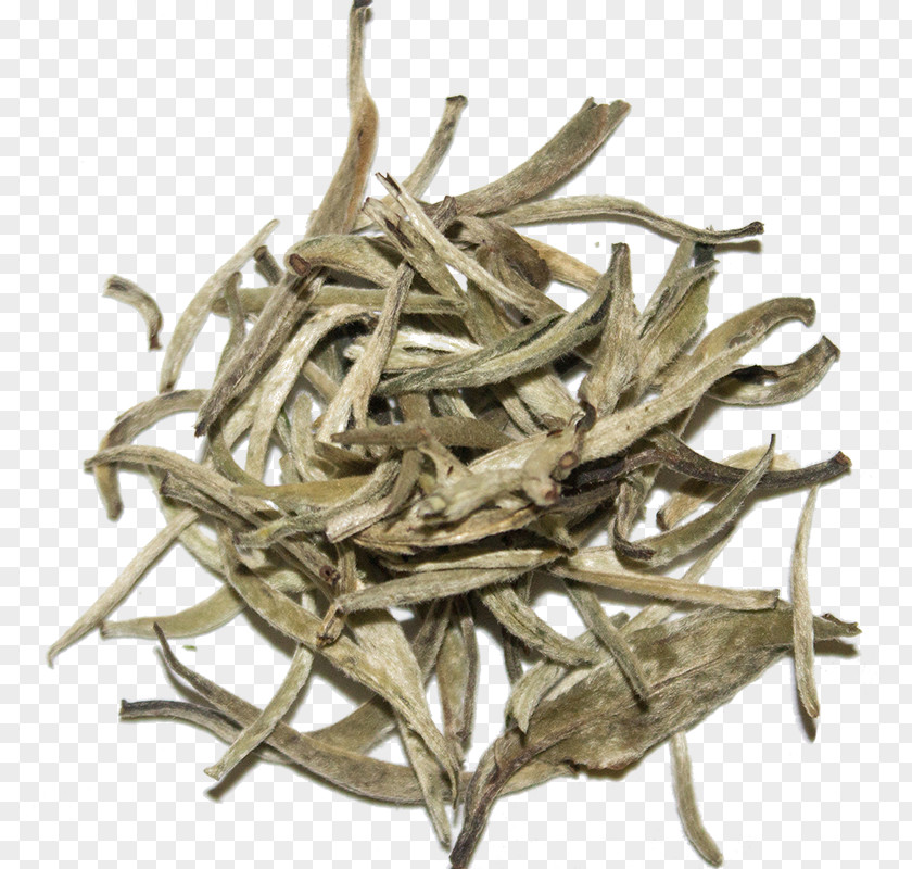 White Tea Nilgiri Dianhong Oolong PNG